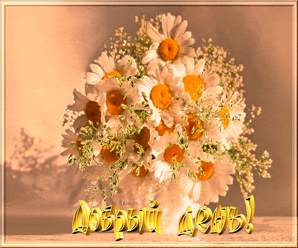 Открытка «Пожелание»: Добрый день! Красивый букет ромашек для настроения. Тэги: улыбка, утро, красивая, позитив…