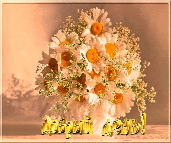 Открытка «Пожелание»: Добрый день! Красивый букет ромашек для настроения. Тэги: улыбка, утро, красивая, позитив…