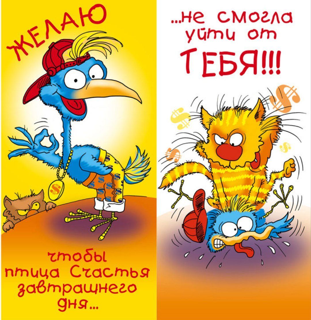 Открытка «Кот»: Птица Счастья не уйдет от тебя! Смешное пожелание. Тэги: пожелание, юмор, прикольная, позитив, радость…