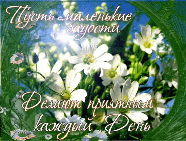 Открытка «Добрый день»: Пусть маленькие радости: Пожелание на каждый день. Тэги: Добрый день и добрые пожелания…