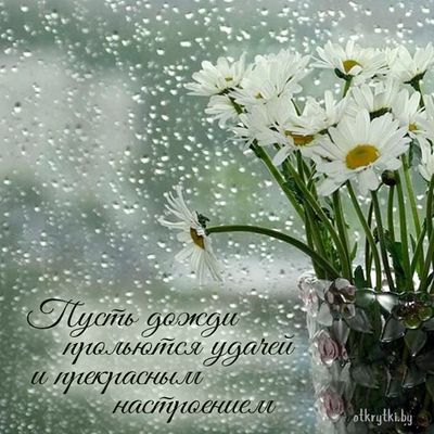 Открытка «Добрый день»: Пожелание удачи и прекрасного настроения в дождь. Тэги: Добрый день и добрые пожелания…