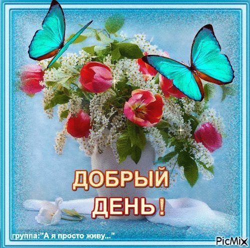 Открытка «Улыбка»: Добрый день! Красивая открытка с цветами и бабочками. Тэги: красивая, позитив, радость, добрый день…