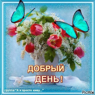 Открытка «Улыбка»: Добрый день! Красивая открытка с цветами и бабочками. Тэги: красивая, позитив, радость, добрый день…