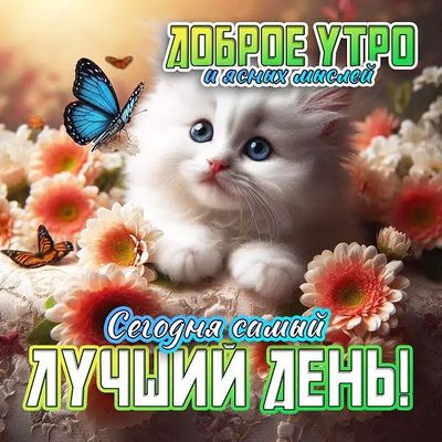 Открытка «С добрым утром»: Доброе утро с милым котенком и бабочками. Тэги: С добрым утром, для поднятия настроением!…