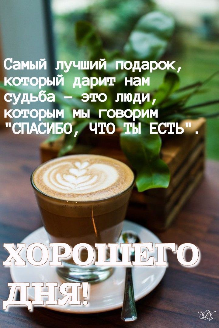 Открытка «Пожелание»: Хорошего дня! Мудрое пожелание о людях и кофе. Тэги: друг, красивая, кофе, позитив, радость…