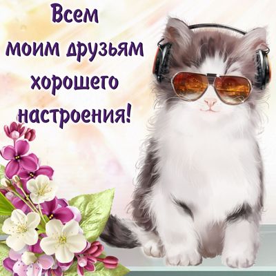 Открытка «Кот»: Всем друзьям хорошего настроения! Открытка с котом. Тэги: животное, пожелание, прикольная, улыбка…