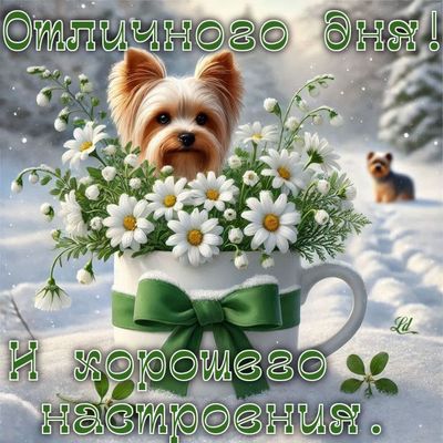 Открытка «Животное»: Отличного дня! Пожелание с собакой и цветами. Тэги: пожелание, красивая, позитив, хорошее настро…
