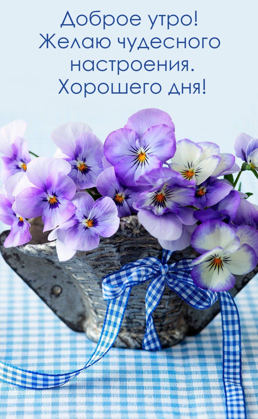 Открытка «Пожелание»: Доброе утро! Чудесное настроение, хорошего дня. Тэги: утро, красивая, позитив, цветок, настроен…