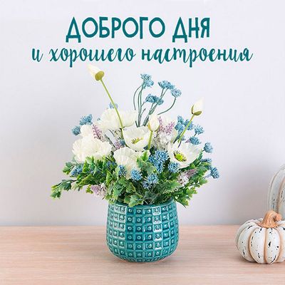 Открытка «Пожелание»: Доброго дня и хорошего настроения. Тэги: друг, подруга, красивая, позитив, хорошее настроение…