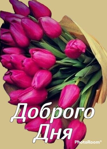 Открытка «Пожелание»: Доброго Дня! Яркий букет тюльпанов с пожеланием. Тэги: красивая, позитив, радость, цветок…