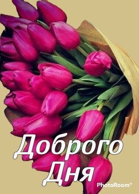 Открытка «Пожелание»: Доброго Дня! Яркий букет тюльпанов с пожеланием. Тэги: красивая, позитив, радость, цветок…