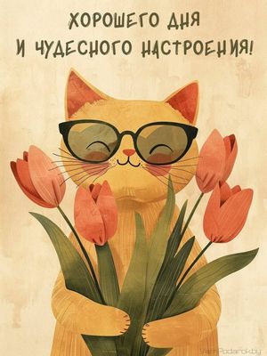 Открытка «Кот»: Хорошего дня и чудесного настроения! Открытка с котом. Тэги: животное, пожелание, улыбка, позитив…