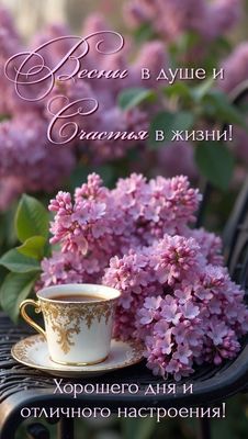 Открытка «Пожелание»: Весны и Счастья в жизни! Отличного дня и настроения!. Тэги: красивая, кофе, цветок, чашка…