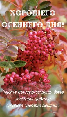 Открытка «Пожелание»: Хорошего осеннего дня! Пожелание со смыслом. Тэги: красивая, позитив, хорошее настроение, осень…