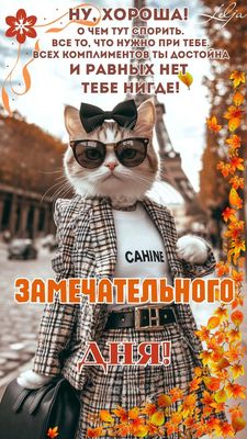 Открытка «Кот»: Замечательного дня! Стильная открытка с кошкой. Тэги: животное, пожелание, прикольная, женщина…