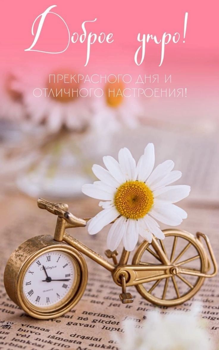 Открытка «Пожелание»: Доброе утро и прекрасное настроение с ромашкой. Тэги: отличное настроение, улыбка, красивая…