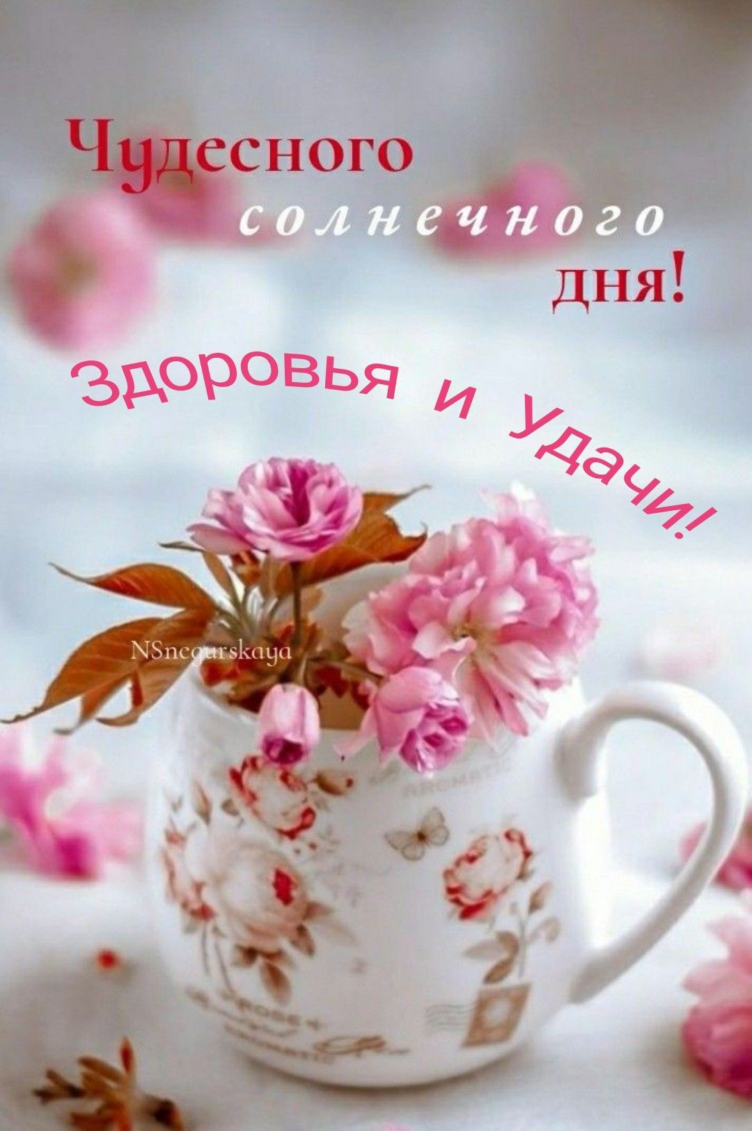 Открытка «Пожелание»: Чудесного солнечного дня! Здоровья и Удачи!. Тэги: улыбка, друг, подруга, мужчина, женщина…