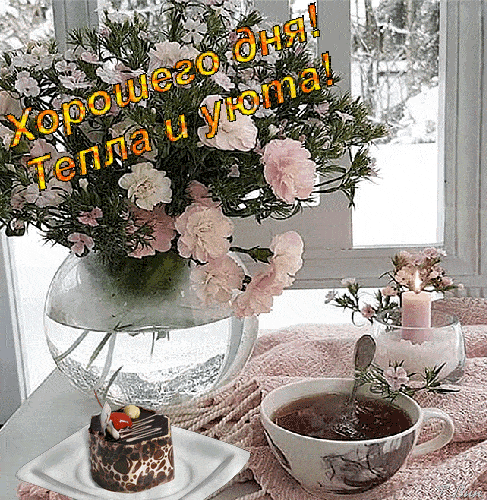 Открытка «Пожелание»: Хорошего дня и тепла! Зимний уют. Тэги: красивая, кофе, радость, цветок, уют, тепло, окно, чашка…