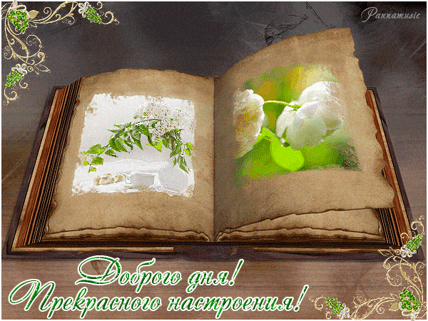 Открытка «Пожелание»: Доброго дня! Прекрасного настроения!. Тэги: позитив, радость, добрый день, цветок, настроение…