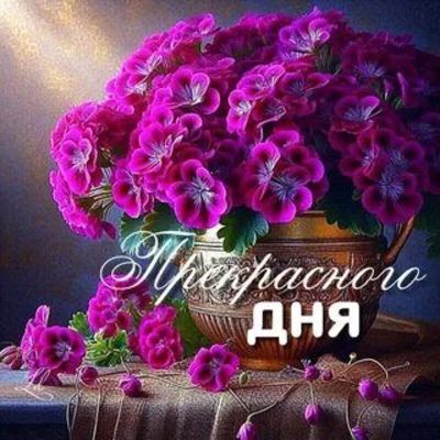 Открытка «Пожелание»: Прекрасного дня! Открытка с красивым букетом цветов. Тэги: красивая, позитив, цветок, стол…
