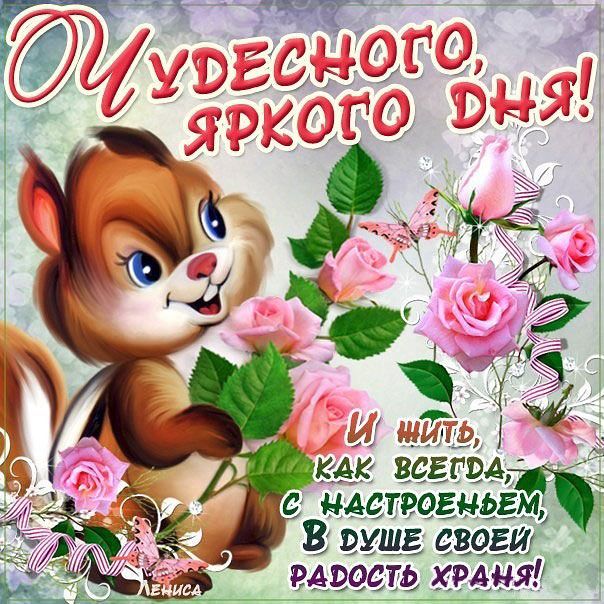 Открытка «Животное»: Чудесного, яркого дня! Открытка с белкой и розами. Тэги: пожелание, улыбка, красивая, позитив…