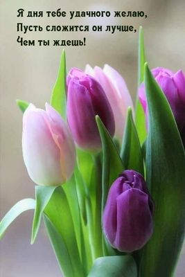 Открытка «Пожелание»: Пожелание удачного дня: тюльпаны и позитив!. Тэги: улыбка, красивая, позитив, радость, цветок…