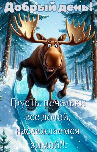 Открытка «Животное»: Добрый день! Веселый лось и зимнее настроение. Тэги: пожелание, прикольная, смешная, улыбка…