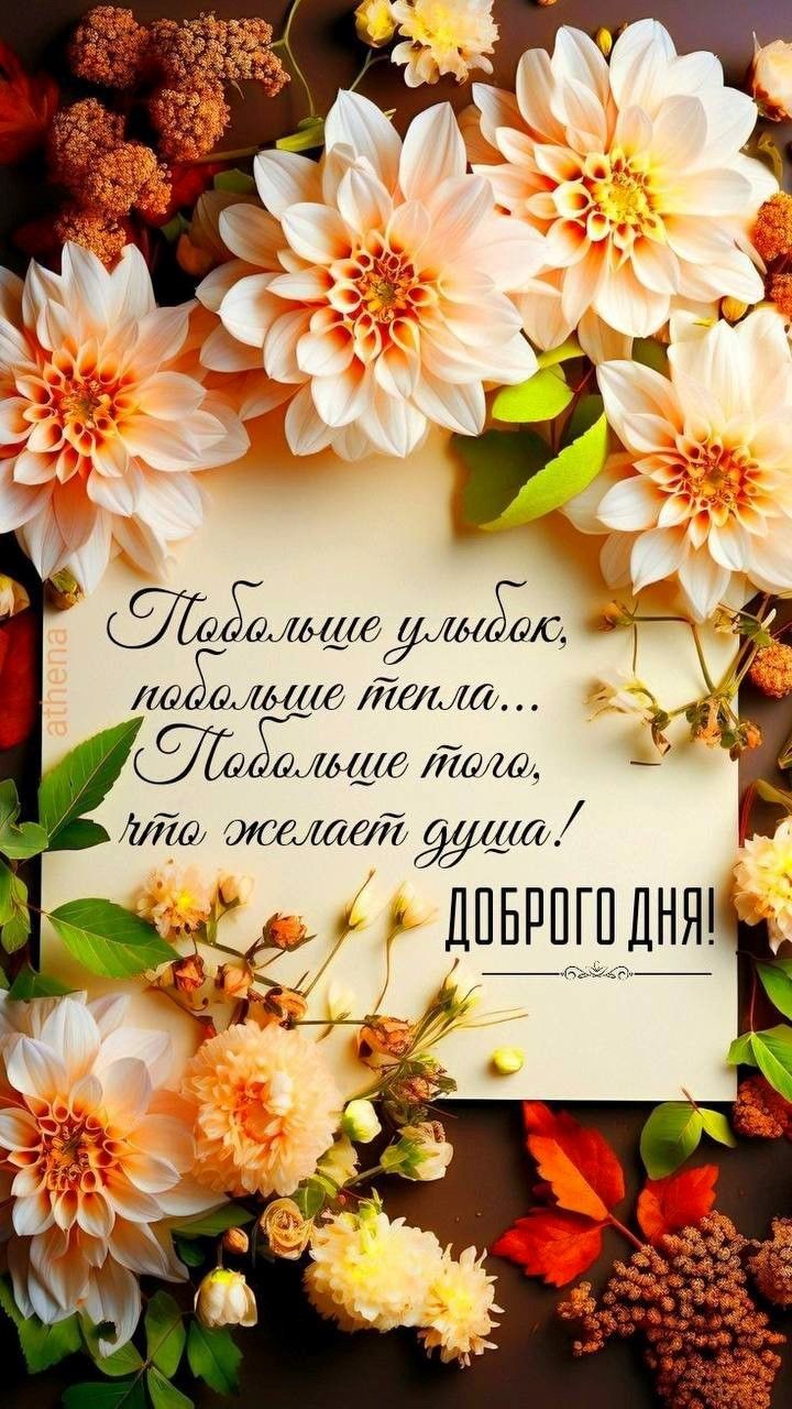 Открытка «Пожелание»: Доброго дня: теплые пожелания и красивые цветы. Тэги: улыбка, красивая, позитив, хорошее настро…