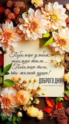 Открытка «Пожелание»: Доброго дня: теплые пожелания и красивые цветы. Тэги: улыбка, красивая, позитив, хорошее настро…