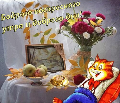 Открытка «Кот»: Бодрого воскресного утра и доброго дня! Кот и осень. Тэги: пожелание, красивая, кофе, позитив, радость…