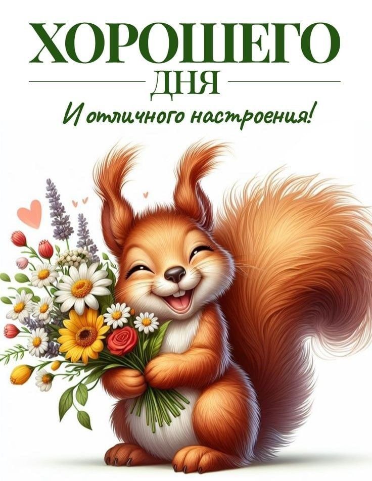 Открытка «Животное»: Хорошего дня! Отличное настроение с милой белкой.. Тэги: пожелание, отличное настроение, улыбка…
