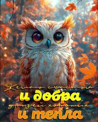 Открытка «Животное»: Осеннее пожелание счастья и добра с совой. Тэги: пожелание, друг, красивая, радость, осень, тепло…