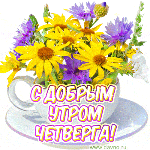 Открытка «Утро»: С добрым утром четверга! Яркий букет цветов. Тэги: красивая, позитив, хорошее настроение, радость…
