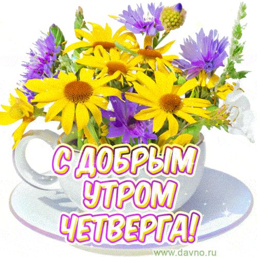 Открытка «Утро»: С добрым утром четверга! Яркий букет цветов. Тэги: красивая, позитив, хорошее настроение, радость…