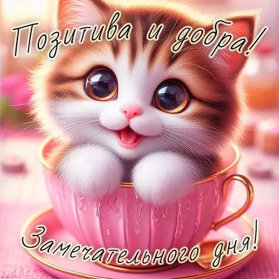 Открытка «Кот»: Позитива и добра! Замечательного дня с котёнком. Тэги: животное, пожелание, красивая, позитив, чашка…