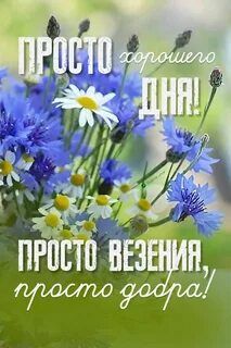Открытка «Пожелание»: Просто хорошего дня! Пожелание добра и везения. Тэги: красивая, позитив, хорошее настроение…
