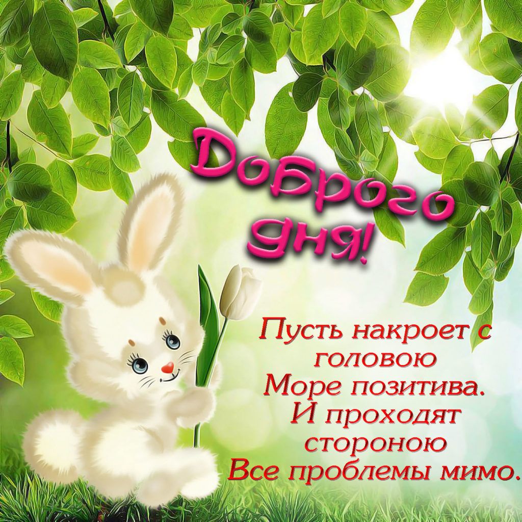 Открытка «Животное»: Открытка Доброго дня с милым зайчиком и позитивом. Тэги: пожелание, красивая, позитив, радость…