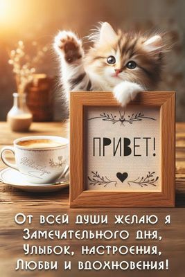 Открытка «Животное»: Привет от котёнка: замечательного дня и настроения!. Тэги: пожелание, улыбка, утро, красивая…