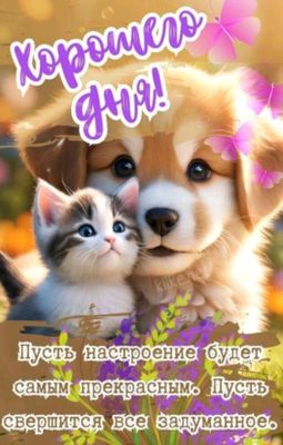 Открытка «Кот»: Хорошего дня! Прекрасное настроение и милые друзья. Тэги: животное, пожелание, хорошего дня, друг…