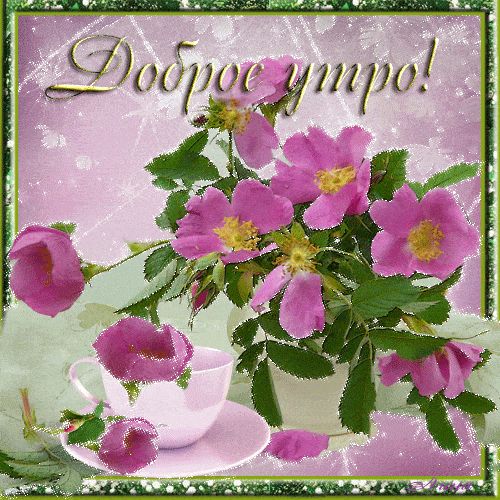 Открытка «Пожелание»: Доброе утро! Красивые цветы для хорошего настроения. Тэги: утро, друг, женщина, красивая…