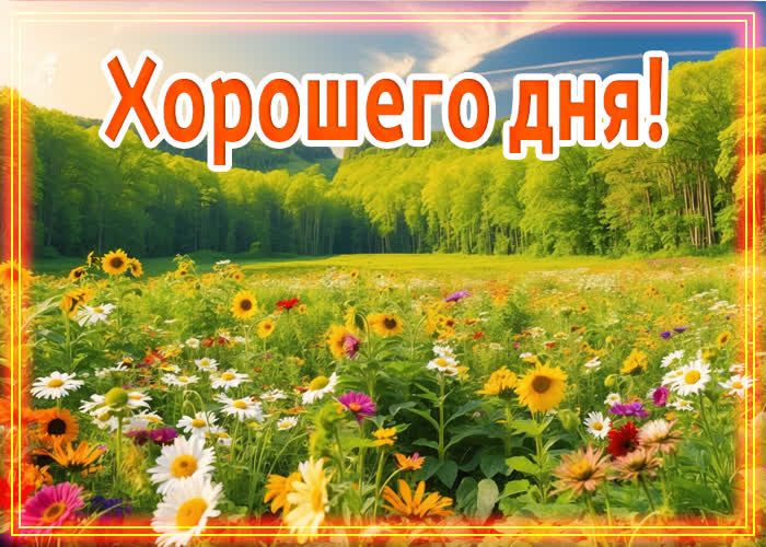 Открытка «Пожелание»: Хорошего дня! Красивая открытка с летними цветами. Тэги: улыбка, позитив, цветок, настроение…
