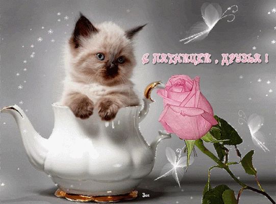 Открытка «Кот»: С пятницей, друзья! Милый котёнок и прекрасное настроение. Тэги: животное, пожелание, улыбка, друг…