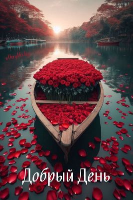 Открытка «Пожелание»: Добрый День: Красивый букет роз на воде. Тэги: красивая, хорошее настроение, добрый день, нежная…
