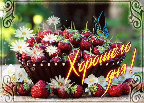 Открытка «Пожелание»: Хорошего дня! Яркая летняя открытка. Тэги: хорошего дня, улыбка, красивая, позитив, цветок…