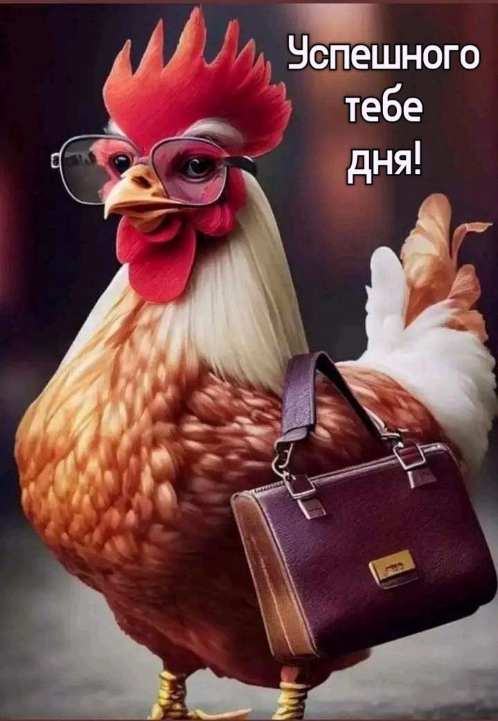 Открытка «Животное»: Успешного дня! Позитивное пожелание для удачи. Тэги: пожелание, юмор, позитив, очки, веселье…