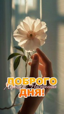 Открытка «Пожелание»: Доброго дня и хорошего настроения! Красивая открытка. Тэги: улыбка, утро, друг, подруга, женщина…