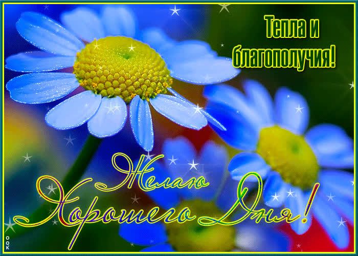 Открытка «Пожелание»: Хорошего дня! Тепла и благополучия: яркие цветы. Тэги: красивая, цветок, тепло, настроение…