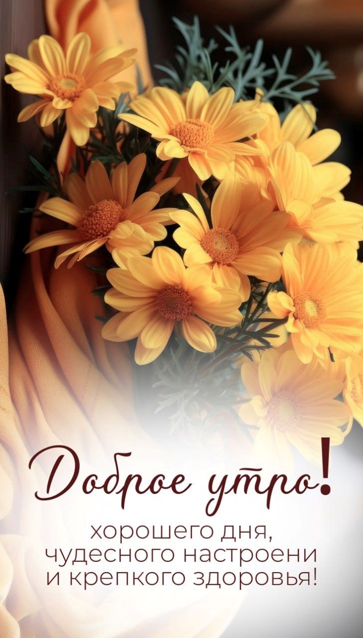 Открытка «Пожелание»: Доброе утро! Теплое пожелание чудесного дня. Тэги: утро, красивая, позитив, хорошее настроение…