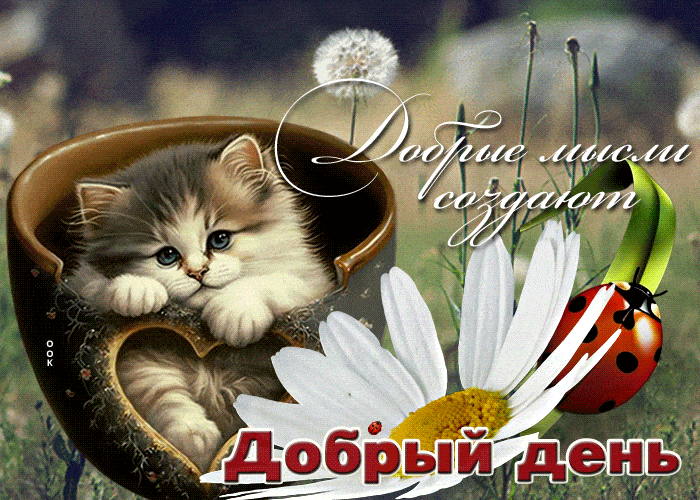 Открытка «Кот»: Добрый день: пусть добрые мысли создают счастье. Тэги: животное, улыбка, красивая, позитив, хорошее н…