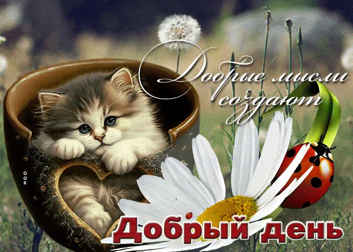 Открытка «Кот»: Добрый день: пусть добрые мысли создают счастье. Тэги: животное, улыбка, красивая, позитив, хорошее н…